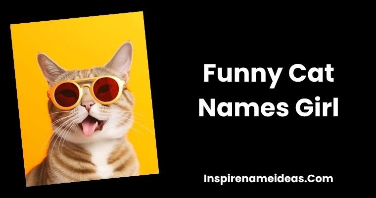 Funny Cat Names Girl