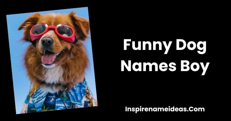 Funny Dog Names Boy