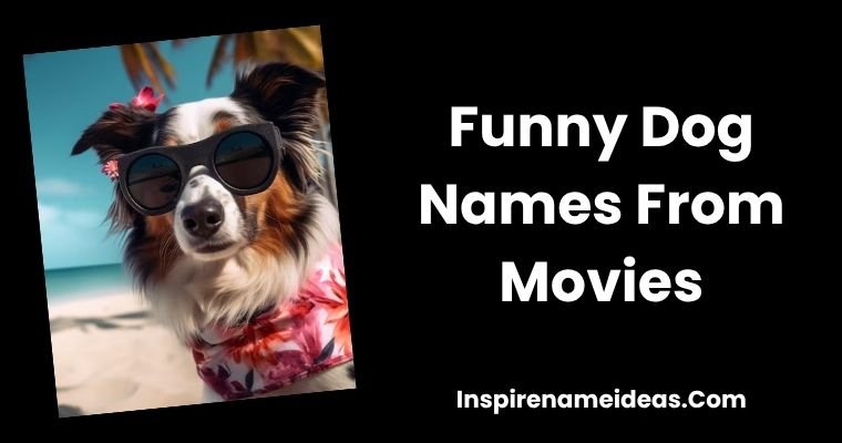 Funny Dog Names From Movies
