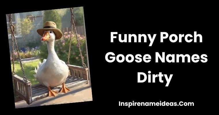 Funny Porch Goose Names (Dirty Edition)