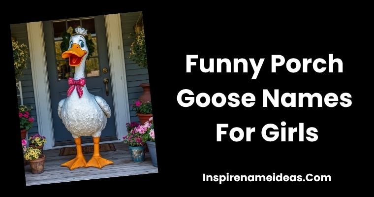 Funny Porch Goose Names For Girls