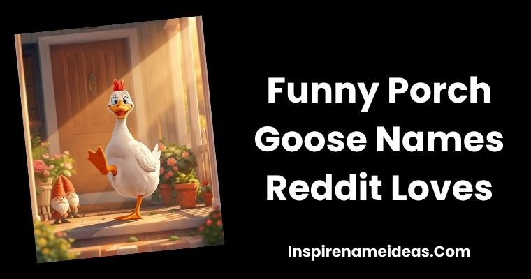 Funny Porch Goose Names Reddit Loves