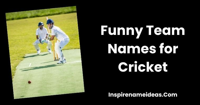 Funny Team Names for Cricket