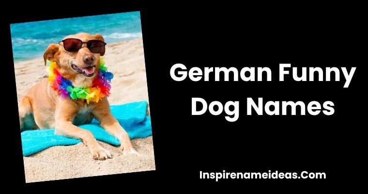 German Funny Dog Names