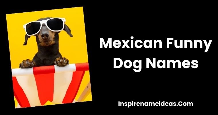 Mexican Funny Dog Names