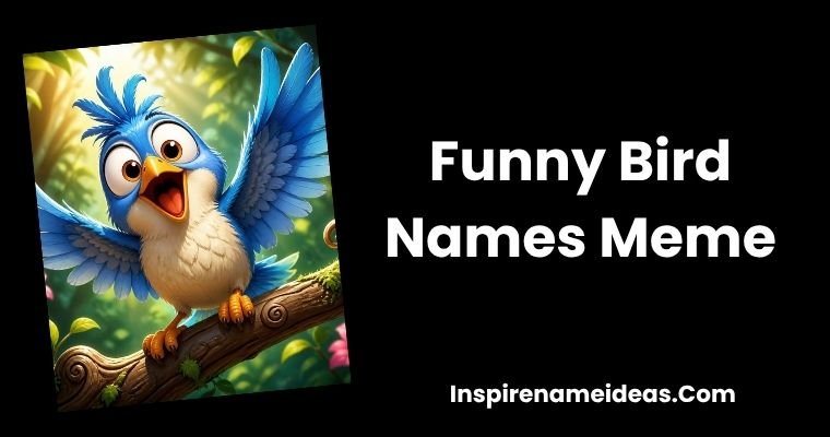 Funny Bird Names Meme