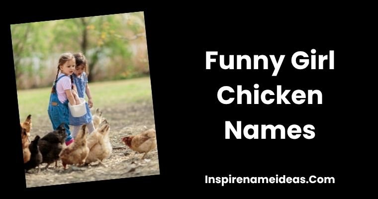 Funny Girl Chicken Names