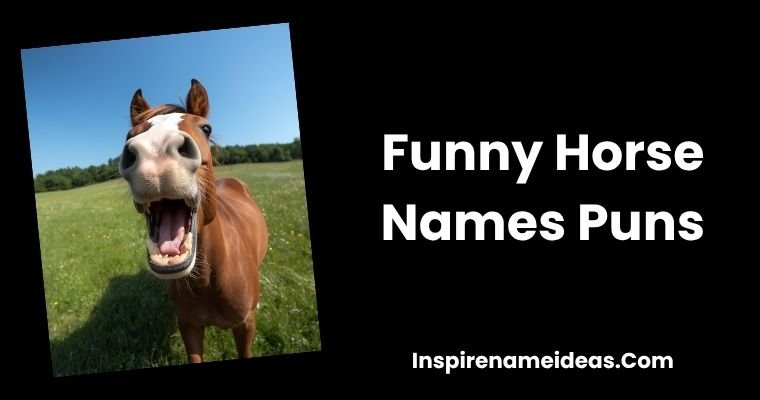 Funny Horse Names Puns