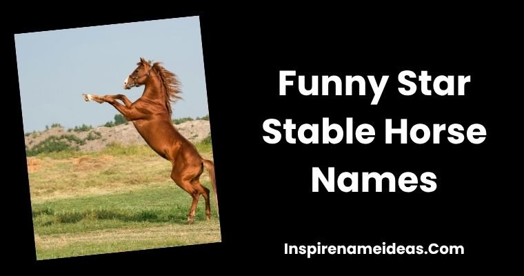 Funny Star Stable Horse Names