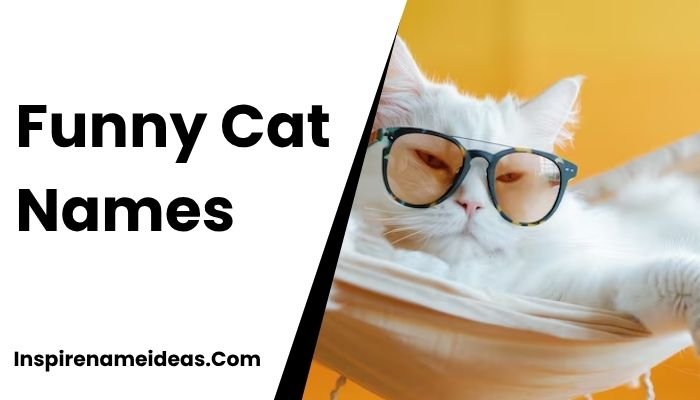 Funny Cat Names