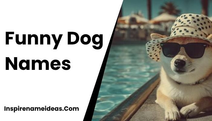 Funny Dog Names