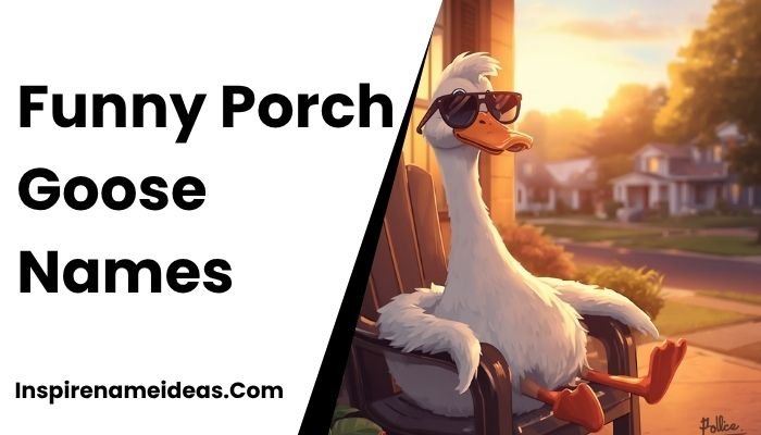 Funny Porch Goose Names