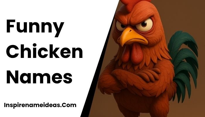 Funny Chicken Names