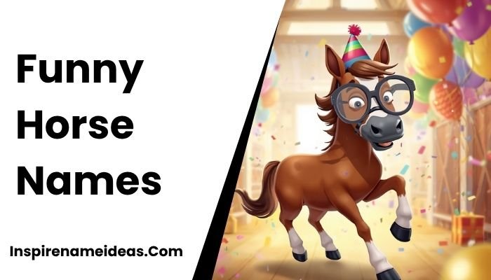 Funny Horse Names