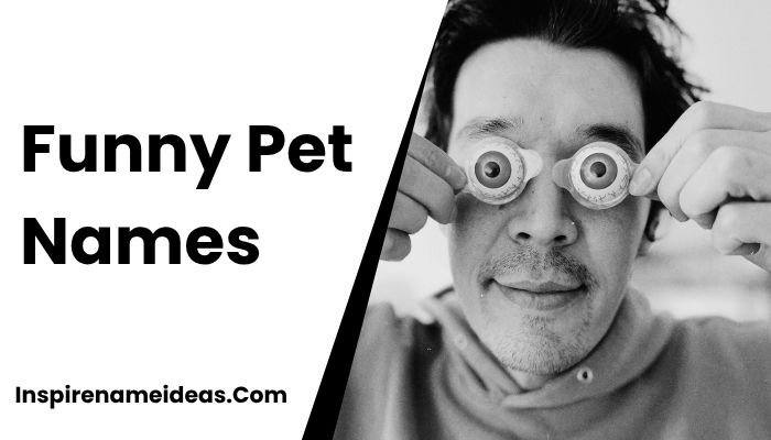 Funny Pet Names